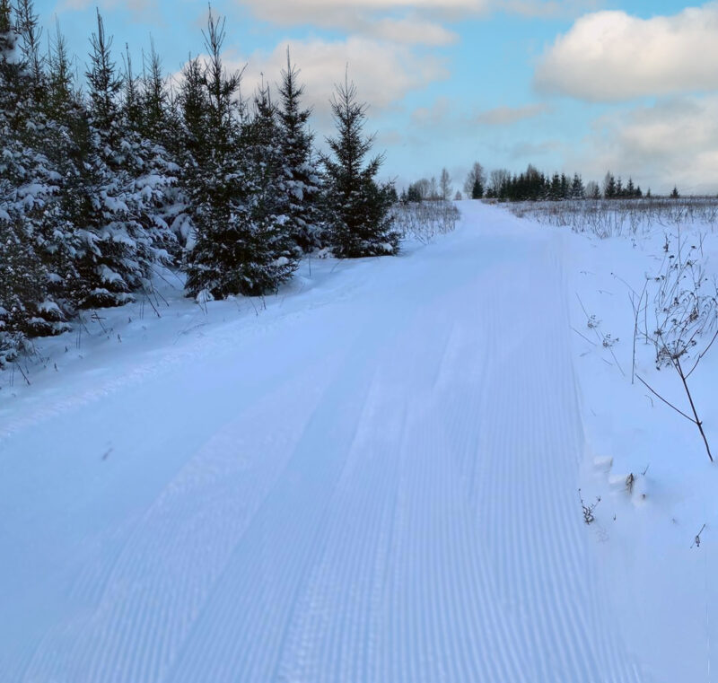Трасса лыжная Фряново БКБ, состояние на 23 января 2026 по отзыву, фото 1. 